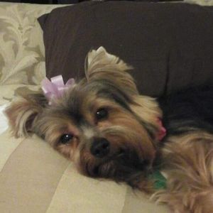 Meet your Posher, Alicia